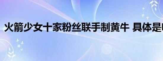火箭少女十家粉丝联手制黄牛 具体是啥情况