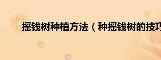 摇钱树种植方法（种摇钱树的技巧）