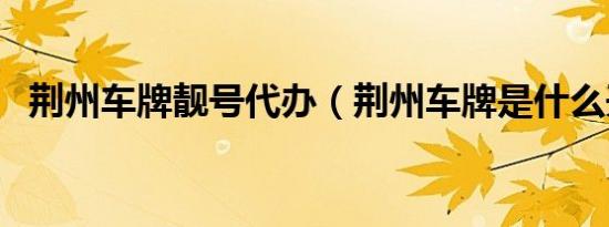 荆州车牌靓号代办（荆州车牌是什么开头）