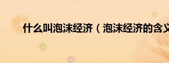 什么叫泡沫经济（泡沫经济的含义）