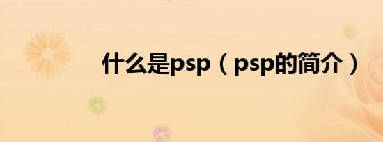 什么是psp（psp的简介）
