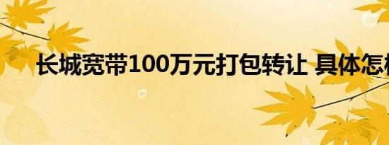长城宽带100万元打包转让 具体怎样的