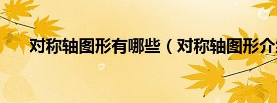 对称轴图形有哪些（对称轴图形介绍）