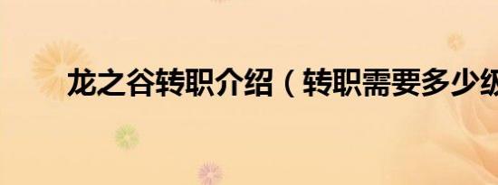 龙之谷转职介绍（转职需要多少级）