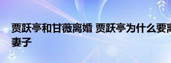 贾跃亭和甘薇离婚 贾跃亭为什么要离婚为保妻子