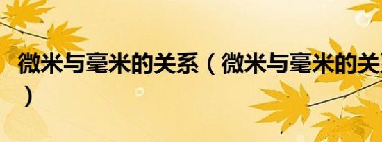 微米与毫米的关系（微米与毫米的关系是什么）