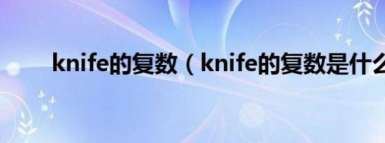 knife的复数（knife的复数是什么）