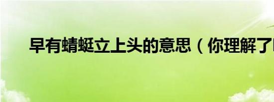 早有蜻蜓立上头的意思（你理解了吗）