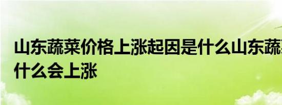 山东蔬菜价格上涨起因是什么山东蔬菜价格为什么会上涨