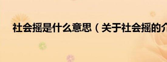 社会摇是什么意思（关于社会摇的介绍）