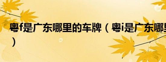 粤f是广东哪里的车牌（粤i是广东哪里的车牌）