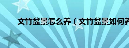 文竹盆景怎么养（文竹盆景如何养）