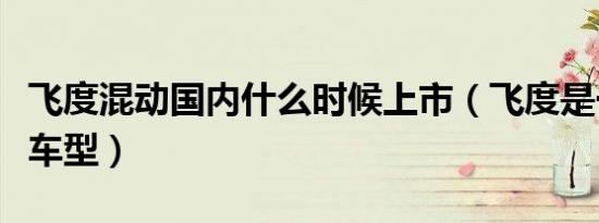 飞度混动国内什么时候上市（飞度是一款什么车型）