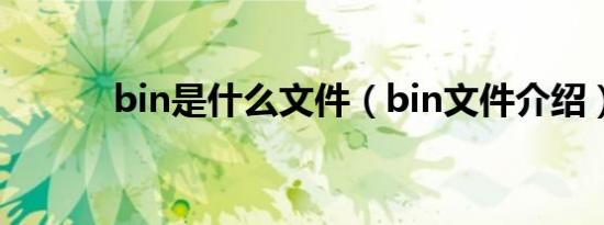 bin是什么文件（bin文件介绍）