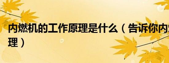 内燃机的工作原理是什么（告诉你内燃机的原理）