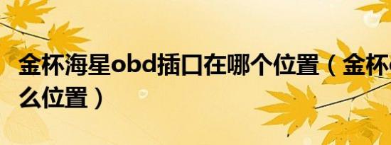 金杯海星obd插口在哪个位置（金杯obd在什么位置）