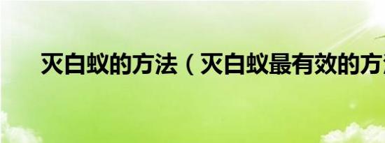 灭白蚁的方法（灭白蚁最有效的方法）