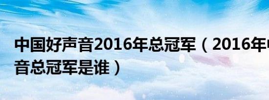 中国好声音2016年总冠军（2016年中国好声音总冠军是谁）