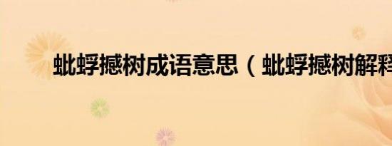 蚍蜉撼树成语意思（蚍蜉撼树解释）
