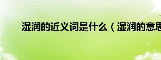 湿润的近义词是什么（湿润的意思）