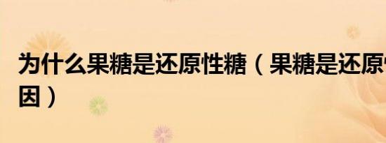 为什么果糖是还原性糖（果糖是还原性糖的原因）