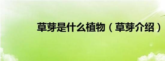 草芽是什么植物（草芽介绍）