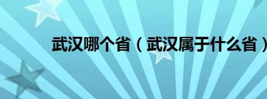 武汉哪个省（武汉属于什么省）