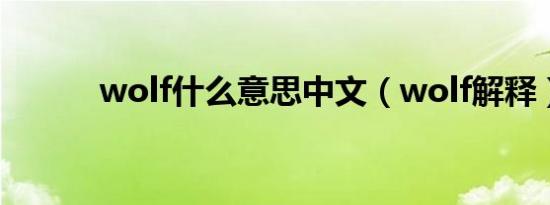 wolf什么意思中文（wolf解释）
