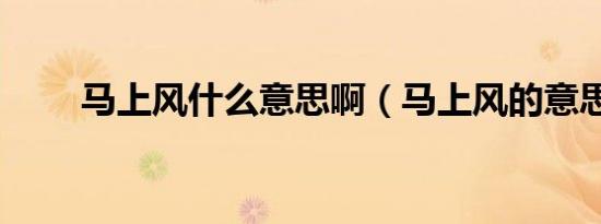 马上风什么意思啊（马上风的意思）