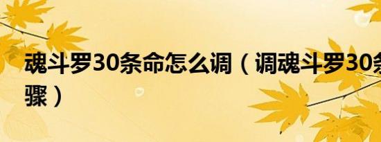 魂斗罗30条命怎么调（调魂斗罗30条命的步骤）