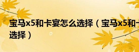 宝马x5和卡宴怎么选择（宝马x5和卡宴怎么选择）