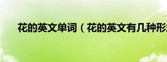 花的英文单词（花的英文有几种形式）