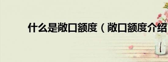 什么是敞口额度（敞口额度介绍）
