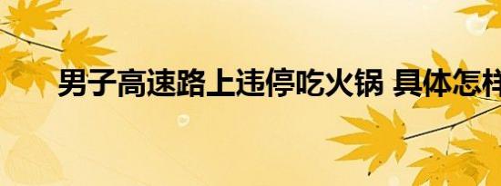男子高速路上违停吃火锅 具体怎样的
