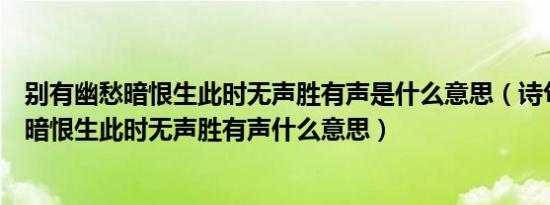 别有幽愁暗恨生此时无声胜有声是什么意思（诗句别有幽愁暗恨生此时无声胜有声什么意思）