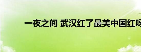 一夜之间 武汉红了最美中国红呀