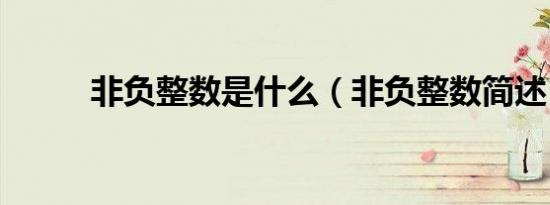 非负整数是什么（非负整数简述）