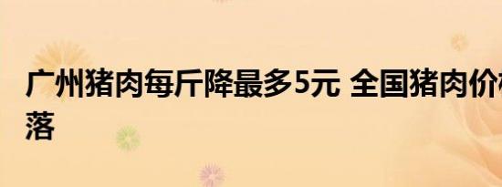 广州猪肉每斤降最多5元 全国猪肉价格开始回落
