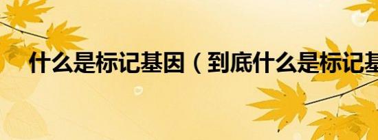 什么是标记基因（到底什么是标记基因）