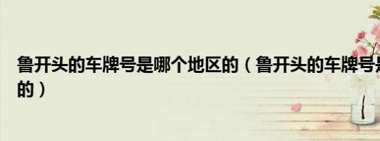 鲁开头的车牌号是哪个地区的（鲁开头的车牌号是哪个地区的）