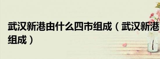 武汉新港由什么四市组成（武汉新港由哪四市组成）