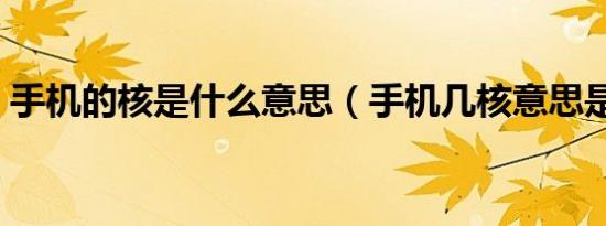 手机的核是什么意思（手机几核意思是什么）