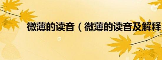 微薄的读音（微薄的读音及解释）