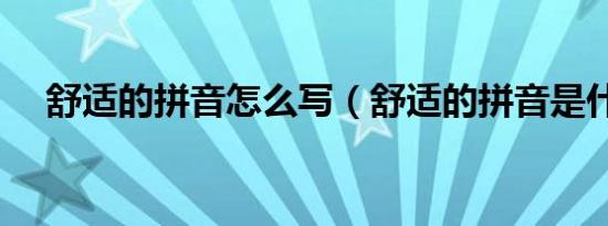 舒适的拼音怎么写（舒适的拼音是什么）