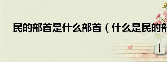 民的部首是什么部首（什么是民的部首）