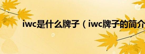 iwc是什么牌子（iwc牌子的简介）