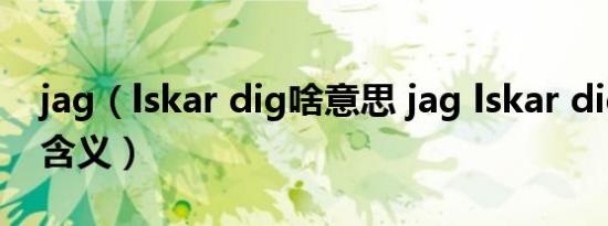 jag（lskar dig啥意思 jag lskar dig有什么含义）