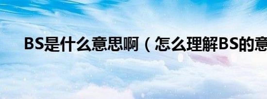 BS是什么意思啊（怎么理解BS的意思）