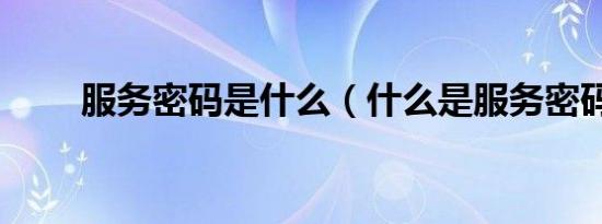 服务密码是什么（什么是服务密码）