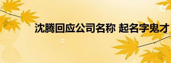 沈腾回应公司名称 起名字鬼才